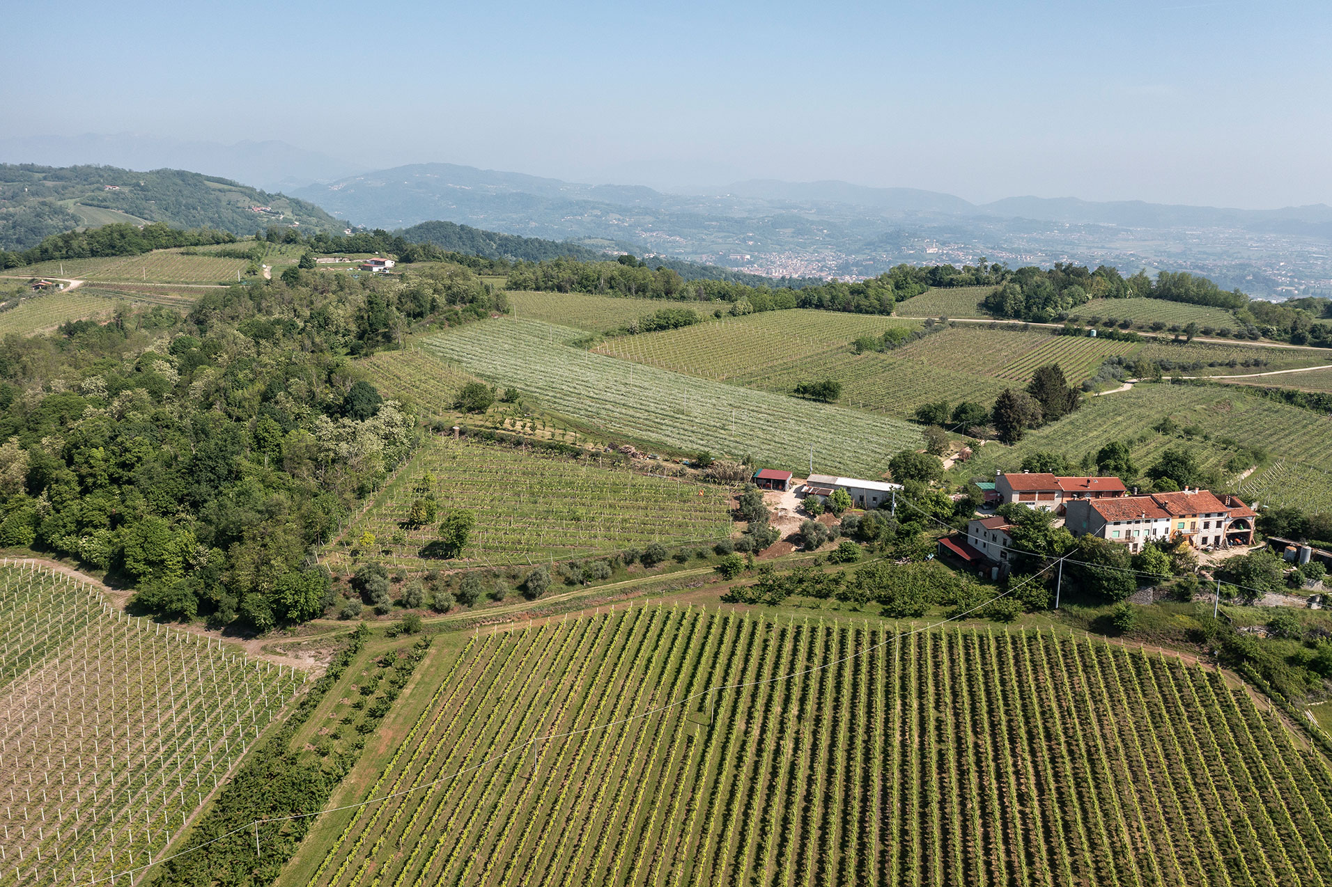 Cantine Vitevis_0732