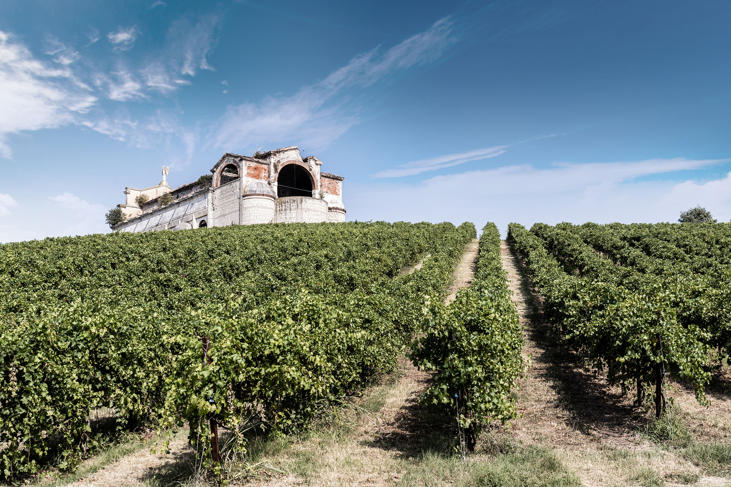 Cantine Vitevis_2860